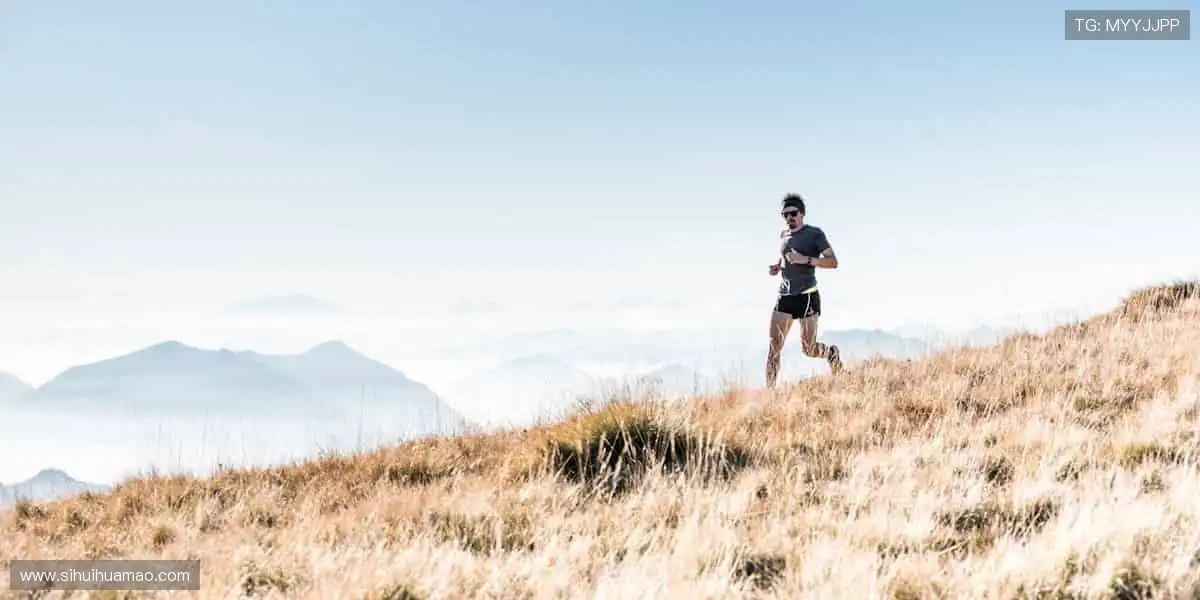 全球知名博彩集团：上市企业实力雄厚，资金安全值得信赖